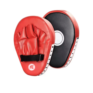 Punching/Focus Mitts